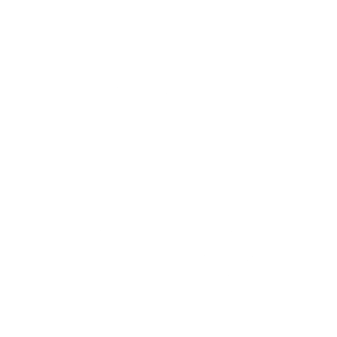 Triumph Performance TRIUMPH PERFORMANCE – Triumph Performance Offroad